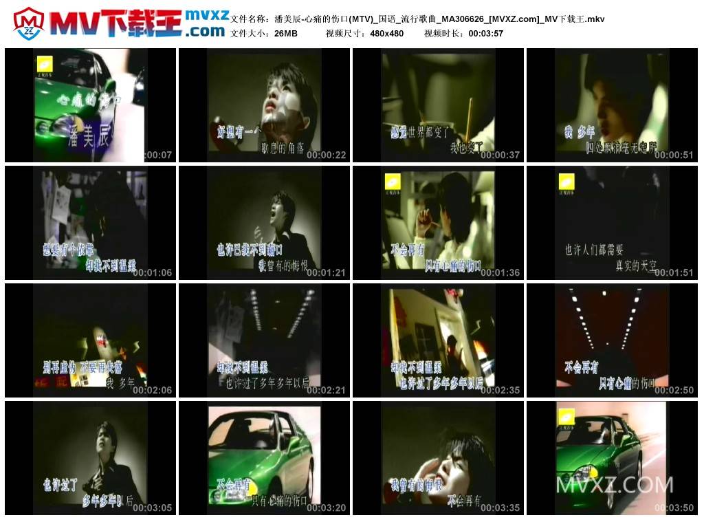 潘美辰-心痛的伤口(MTV)_国语_流行歌曲_MA306626